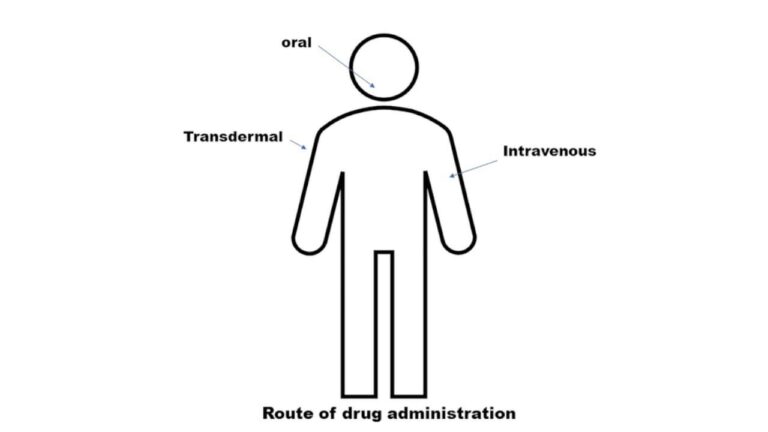 Routes of Drug Administration