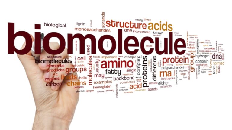 Biomolеculеs